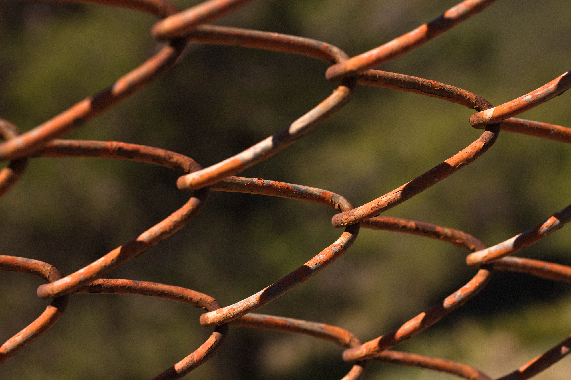 Mrežne ograje so bile praktična rešitev za moje dvorišče